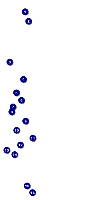 Farmer's Market VIP Pass Front Field Markers