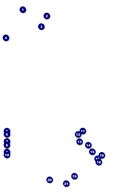 Arsenic & Old Lace Poster Front Field Markers
