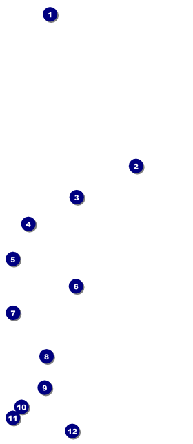 Bridal VIP Pass Front Field Markers