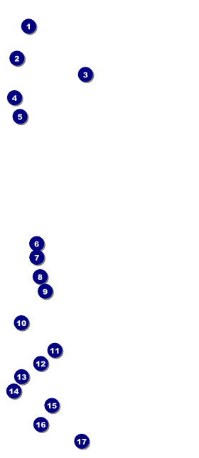 Breakfast VIP Pass Front Field Markers