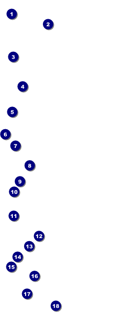 Tennis Camp VIP Pass Front Field Markers