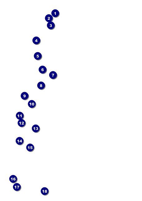 Movie Strip Postcard Front Field Markers