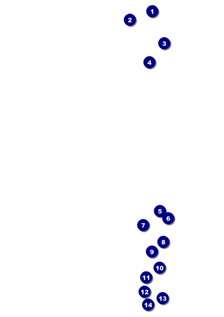 Spanish Flag Postcard Front Field Markers