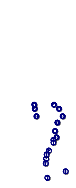 Roaring 20s Table Tent Front Field Markers