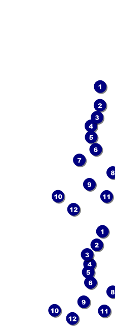 Graduation Reserved Event Ticket Front Field Markers