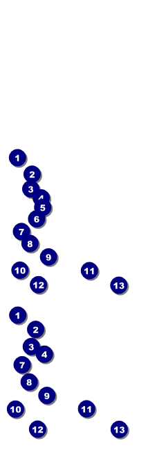 Burgers and Beer Reserved Event Ticket Front Field Markers
