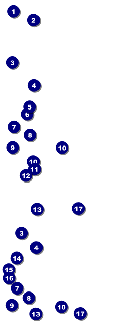 Poetry Reserved Event Ticket Front Field Markers