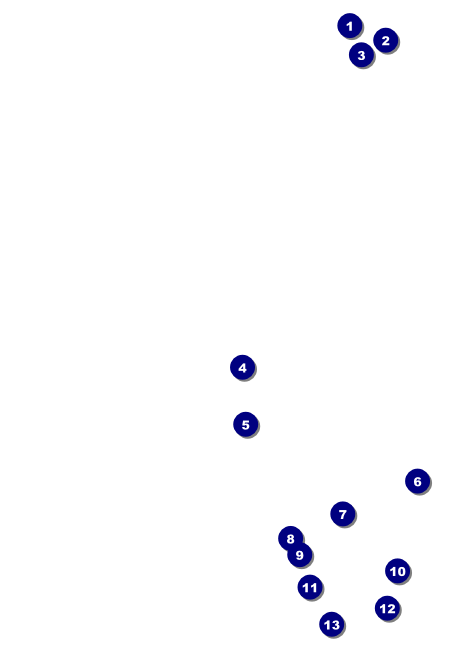 Chinese New Year Dog Invitation Front Field Markers