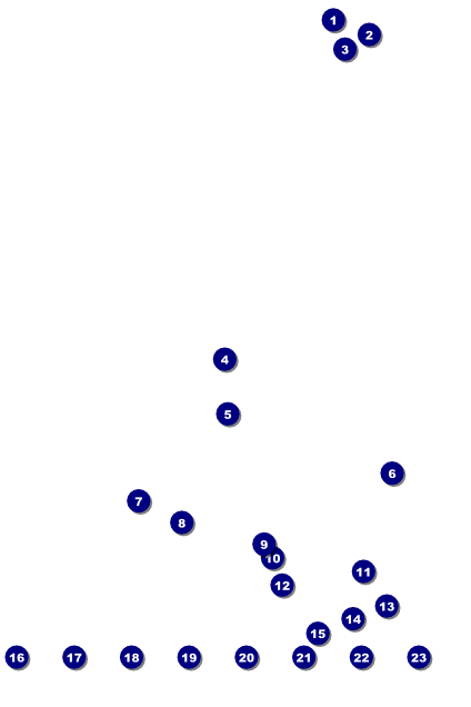 Chinese New Year Tiger Image Poster Front Field Markers