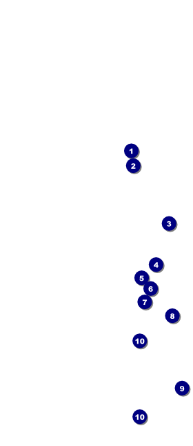 Mardi Gras Beads Hang Tag Front Field Markers