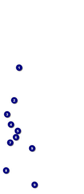 Prom Limo Hang Tag Front Field Markers