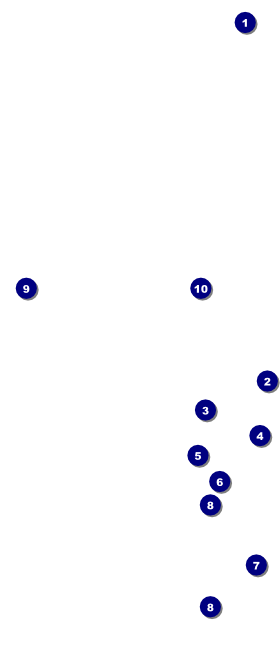 Cherry Blossom Hang Tag Front Field Markers