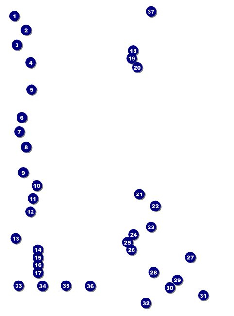 Run for a Cause Blue & Green Flyer Front Field Markers