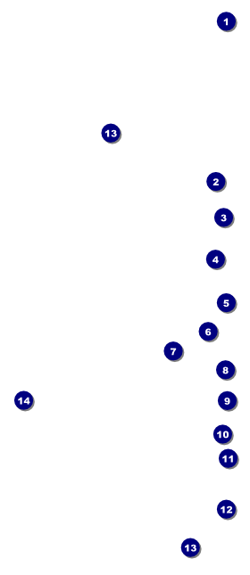 St. Patrick's Day Plaid Hang Tag Front Field Markers