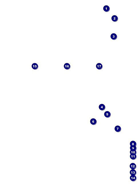Wedding Classic Flyer Front Field Markers