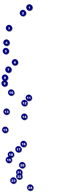 Camouflage Green White Yellow VIP Pass Front Field Markers
