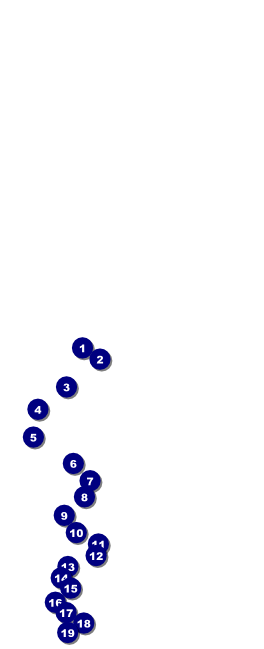 Spider Web Table Tent Front Field Markers