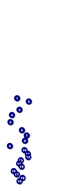 Spider Web Table Tent 001 Front Field Markers