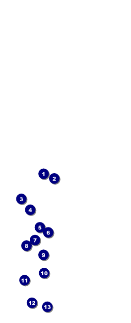 Military Ball - US Flags Table Tent Front Field Markers
