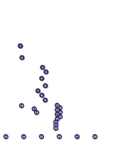 Drag Racing Flyer Front Field Markers