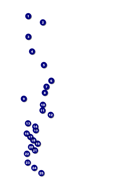 Yellow Rose Poster Front Field Markers