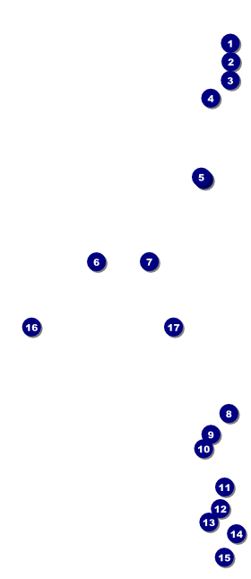 Breast Cancer Pink Ribbon VIP Event Badge Large Front Field Markers