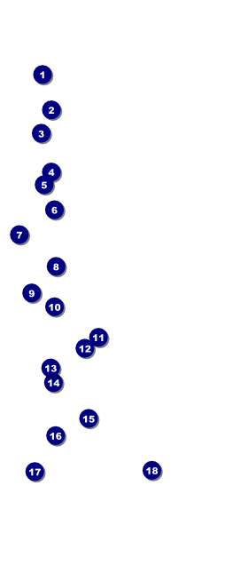 Graduation - Blue and Yellow VIP Event Badge Large VIP Event Badge Large Front Field Markers