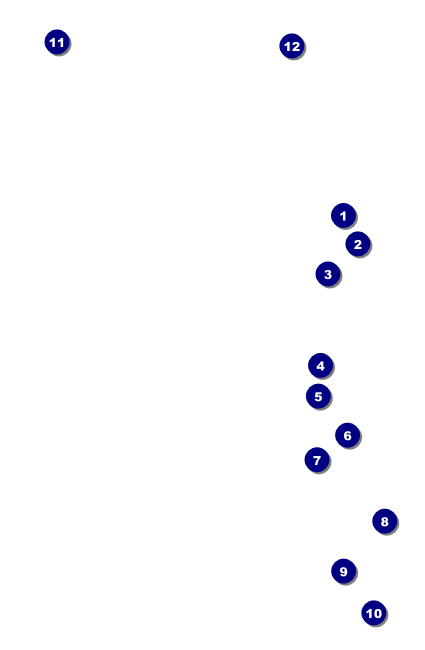 Mexican Fiesta VIP Event Badge Small Front Field Markers