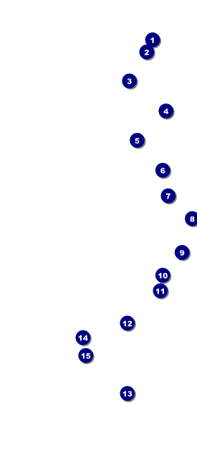 Beer Festival VIP Event Badge Large Front Field Markers