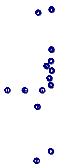 Bon Odori Event Ticket Front Field Markers