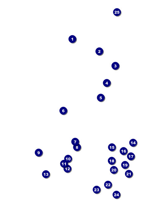 Fourth of July Invitation Front Field Markers