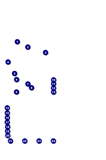 Dance Recital Poster Front Field Markers