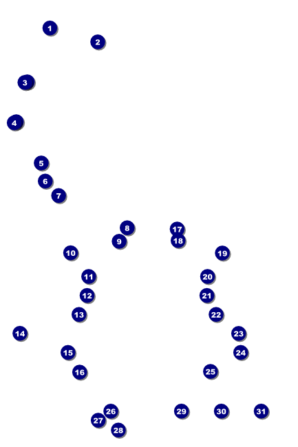 Basketball Court Poster Front Field Markers