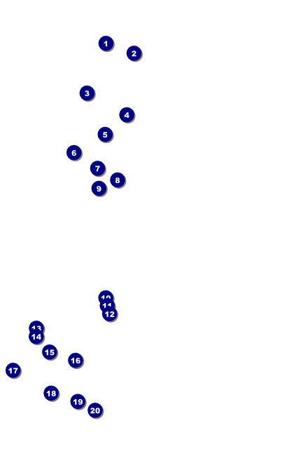 Red Carpet Poster Front Field Markers