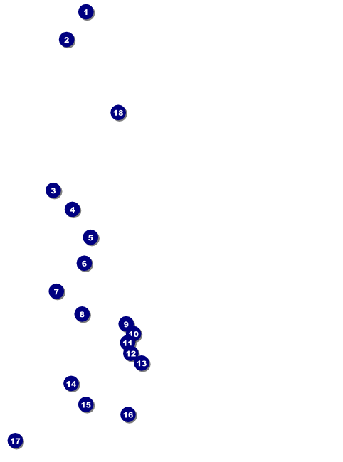 Sports Flyer 001 in Maroon and Silver Front Field Markers