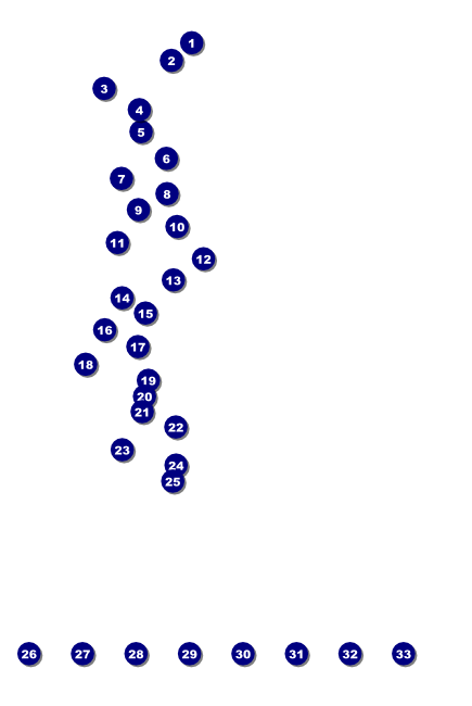 Mixed Martial Arts Front Field Markers