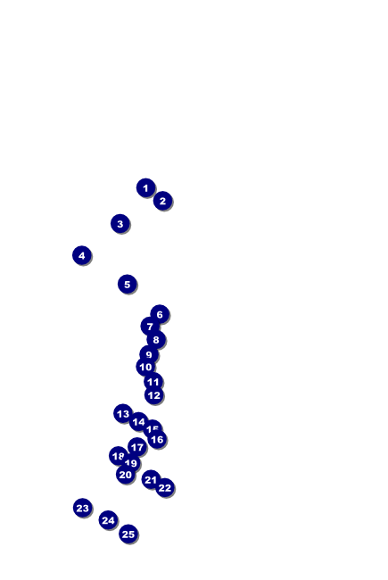 Gospel Poster Front Field Markers