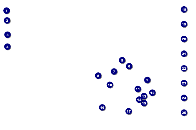 Hollywood Poster (Black and white) Front Field Markers