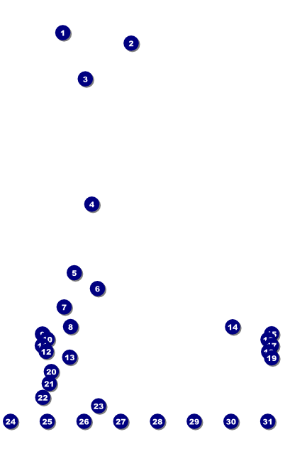 Birthday Party Green Logo Poster Front Field Markers