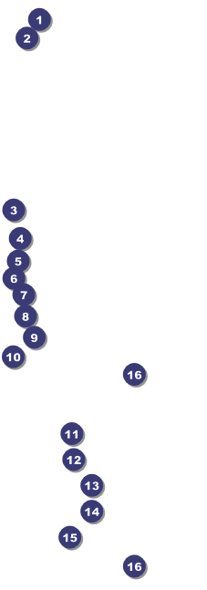 Skating Party Raffle Front Field Markers