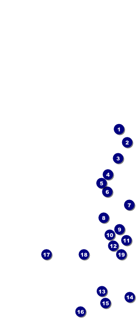Valentine Heart VIP Pass Front Field Markers