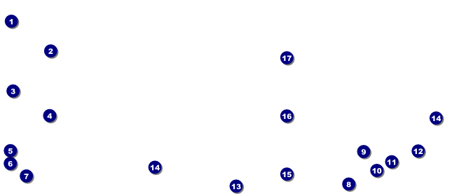 BBQ Vintage VIP Pass Front Field Markers