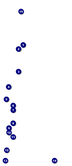 Sweet 16 VIP Pass Front Field Markers