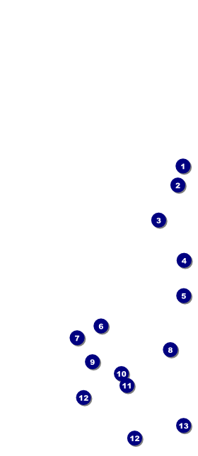 Women's Expo 3 VIP Pass Front Field Markers