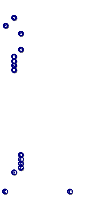 World Travel VIP Pass Front Field Markers